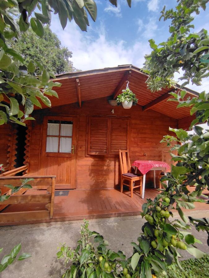Harmonia-Lak Vendeghaz Praid Exterior foto